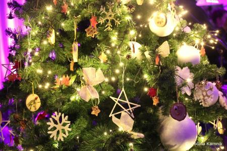 7. Celovečerni koncert Godbe Tuhinjska dolina  (7)